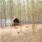 养殖场风光