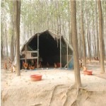 养殖场风光