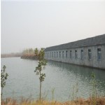 养殖场风光