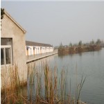 养殖场风光