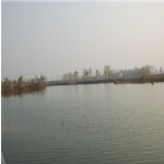 养殖场风光