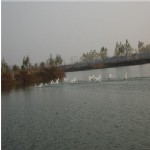 养殖场风光