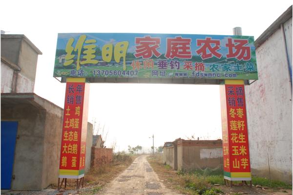 肥东县孙维明家庭农场