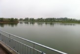 农场风光